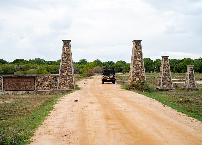Kumana National Park Safari