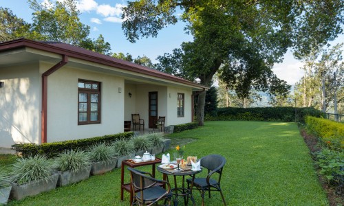  Olive Bungalow